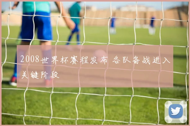 2008世界杯赛程发布 各队备战进入关键阶段