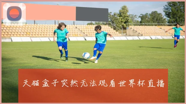 天猫盒子突然无法观看世界杯直播